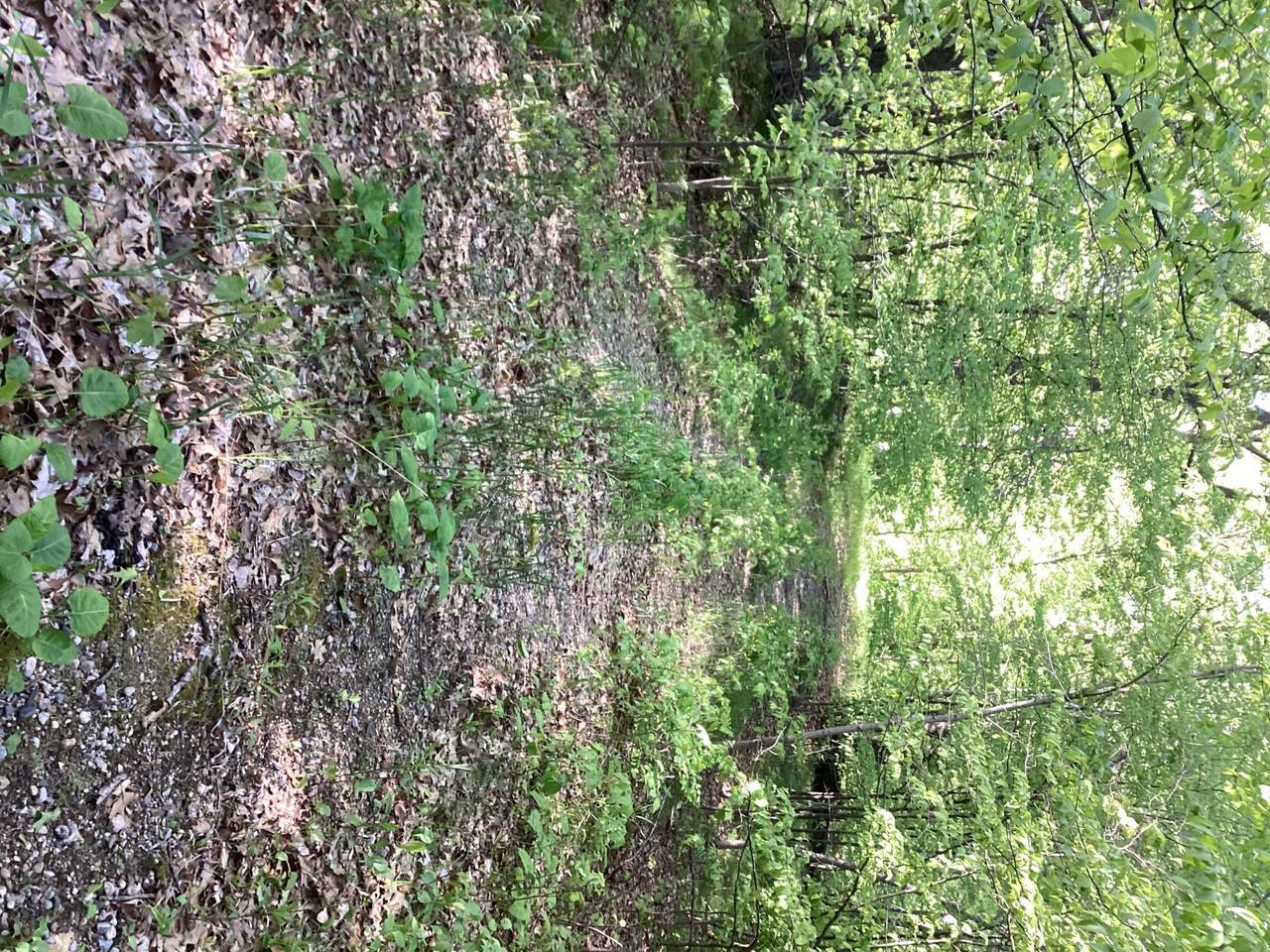 https://bt-photos.global.ssl.fastly.net/northstar/1280_boomver_3_6726474-2.jpg