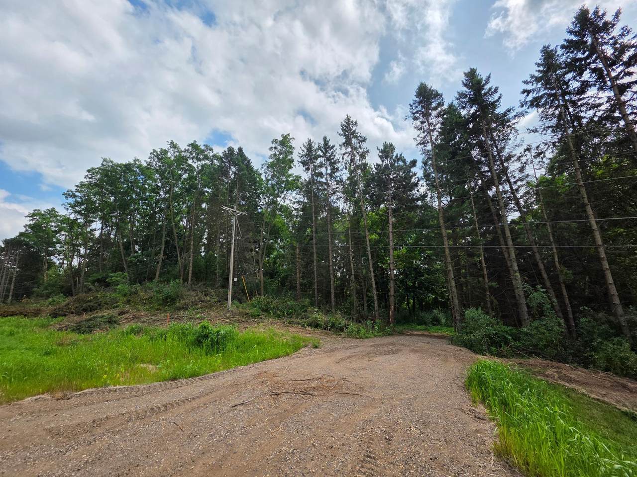 14xxx Dellwood Road - Photo 1