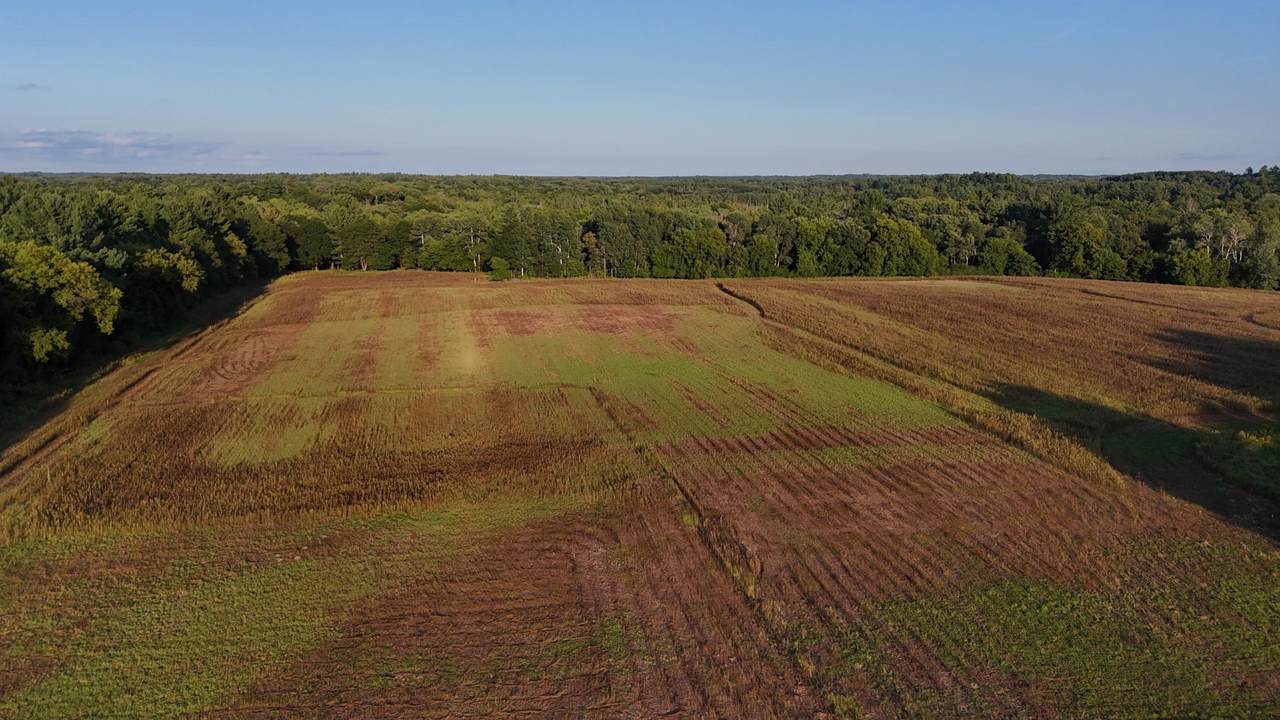 37XXX Verdin Street - Photo 1