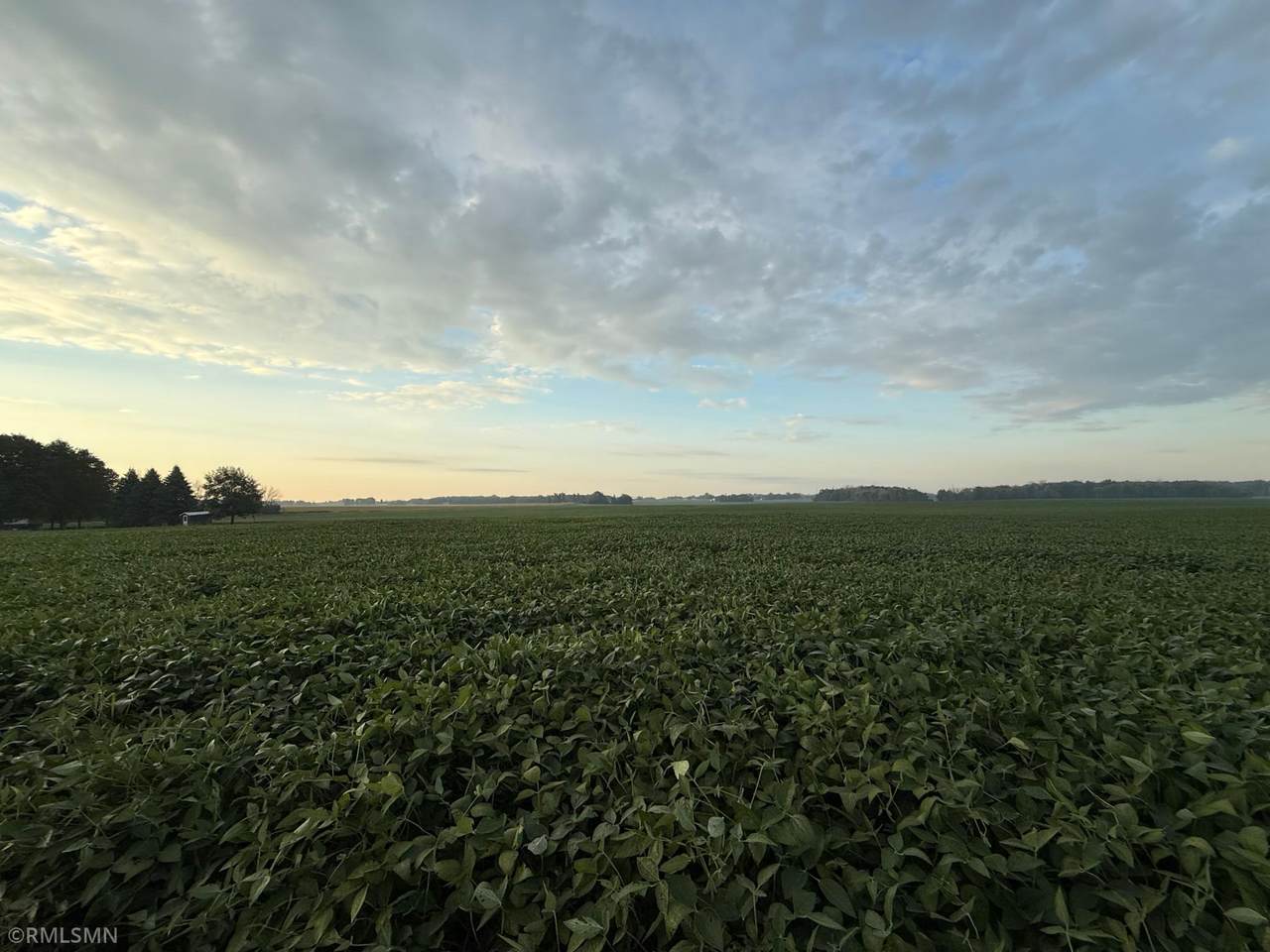 TBD 265th Avenue - Photo 1