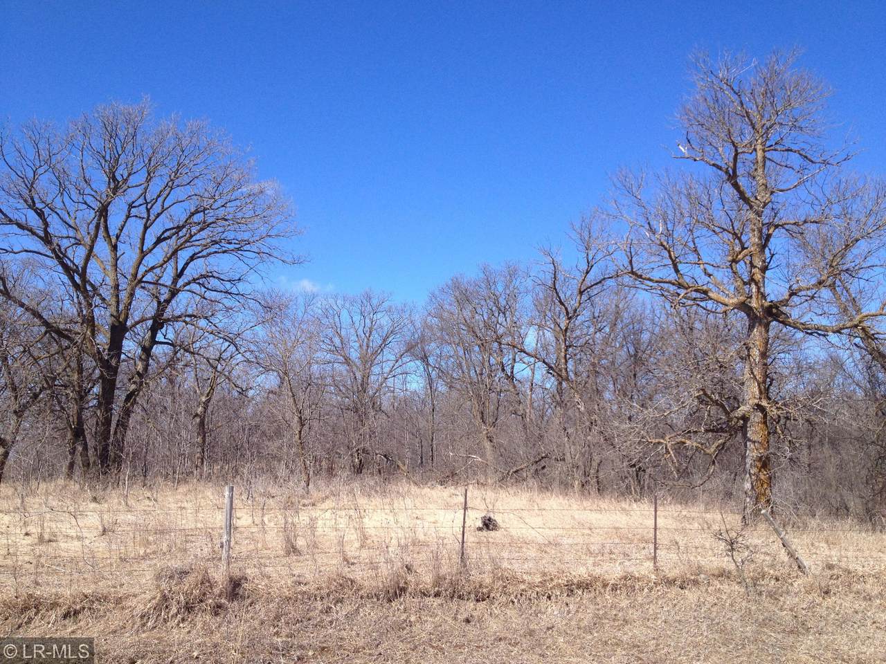 202xy 295th Street - Photo 1