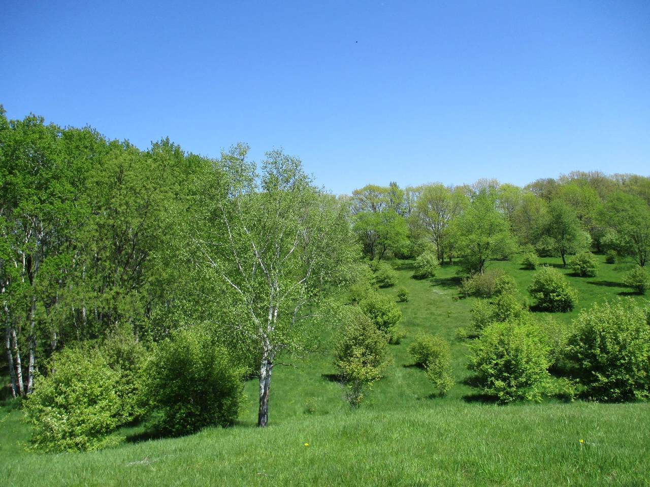 XXX Schnagal Rd - Photo 1