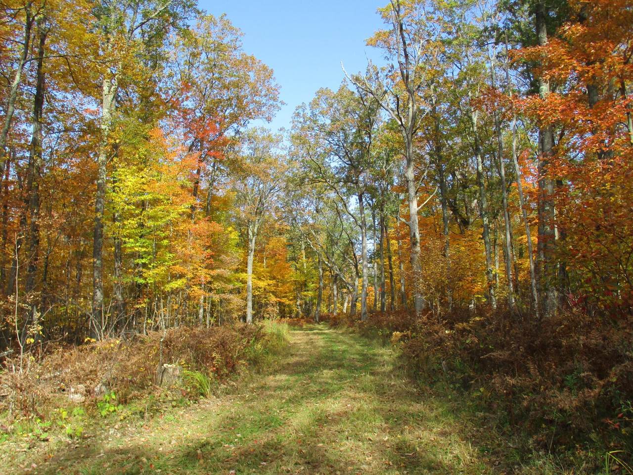 XXX Frost Rd - Photo 1
