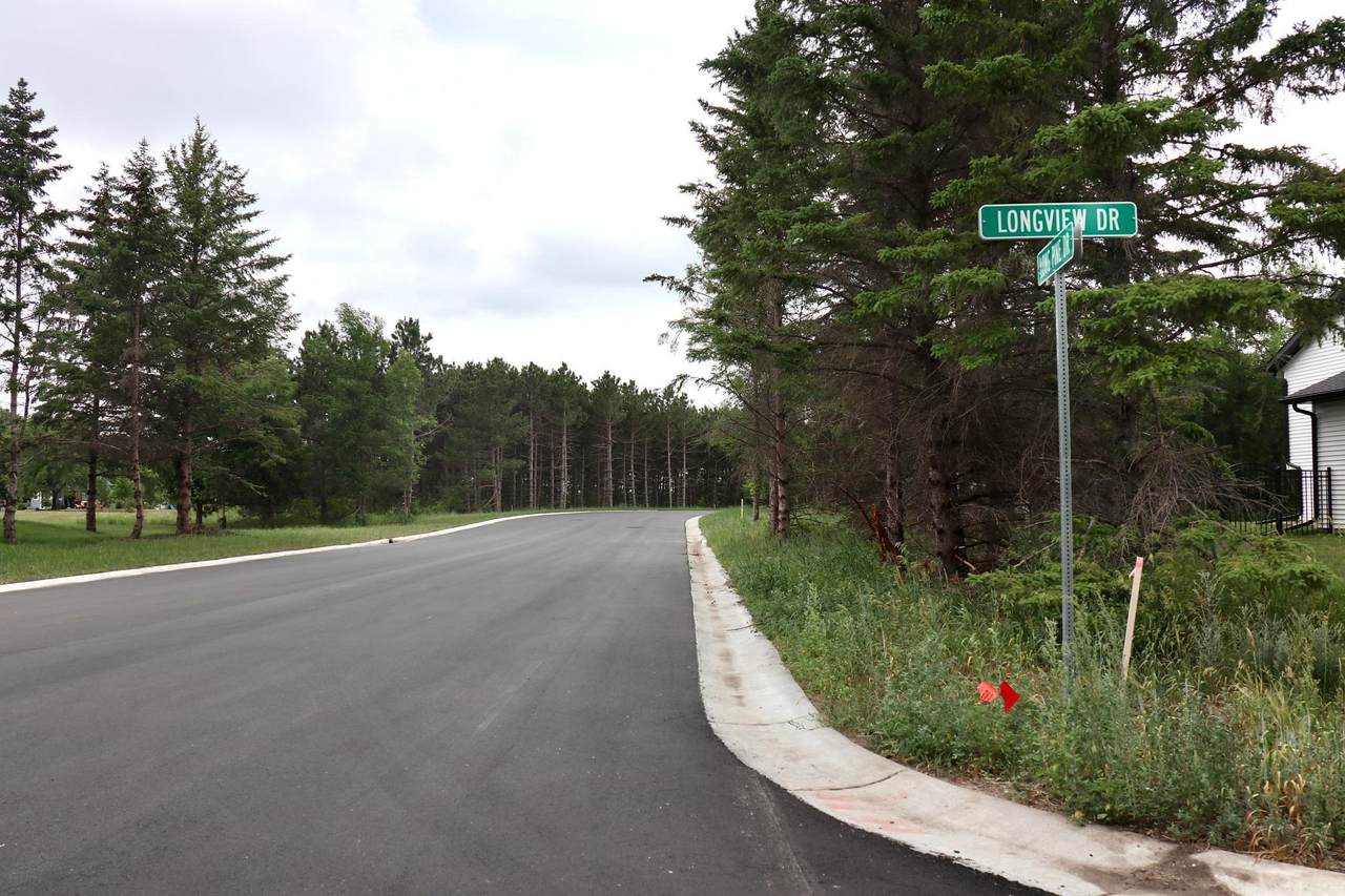 1950 Long Pine Drive - Photo 1