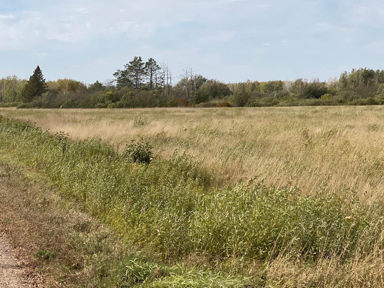 XXXX Silver Creek Road - Photo 1