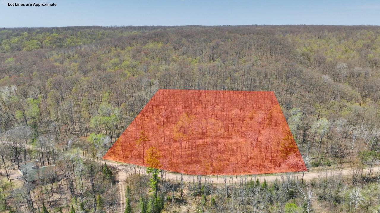 3.91 Acres Gueldner Lane - Photo 1