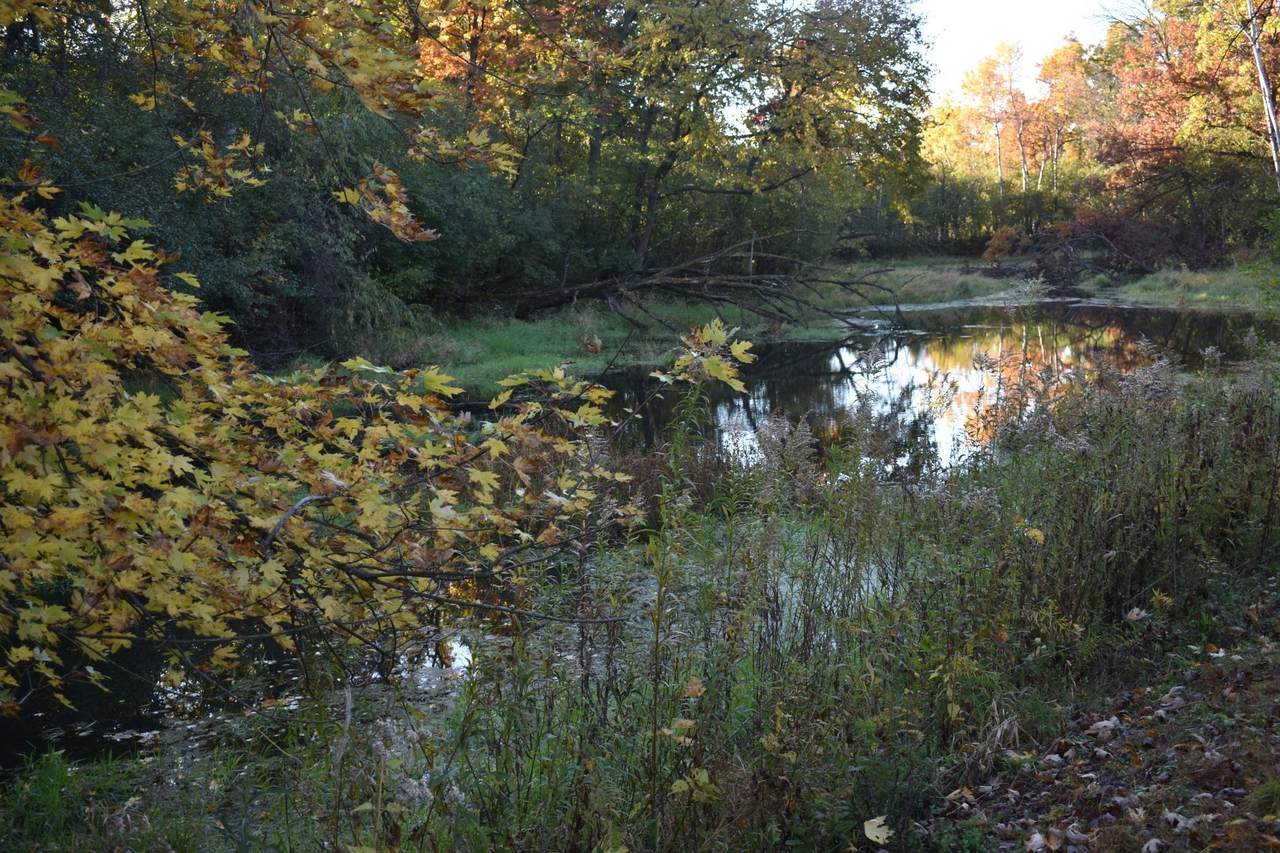 5470 Rowland Road - Photo 1