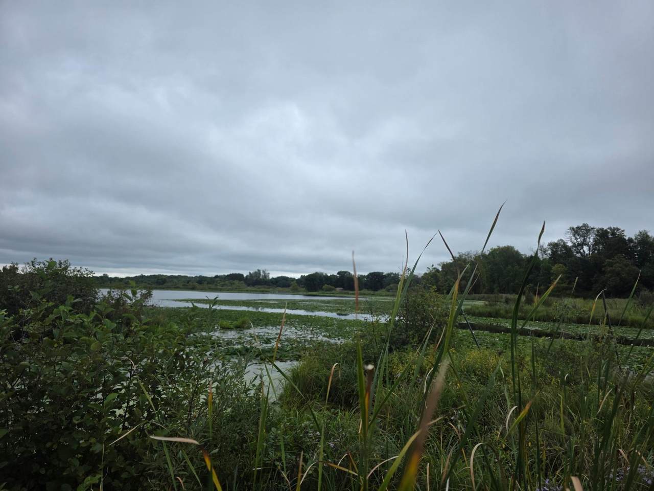 TBD Cambridge Way - Photo 1