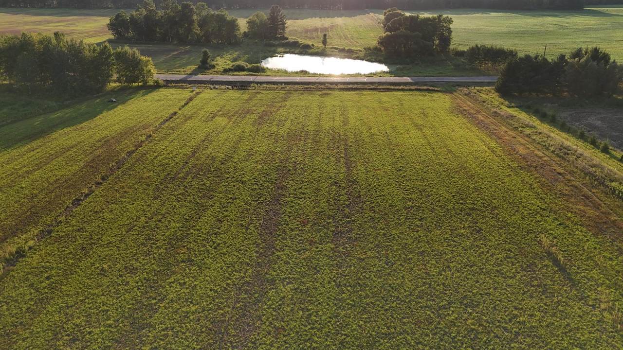 3XXXX Verdin Street - Photo 1