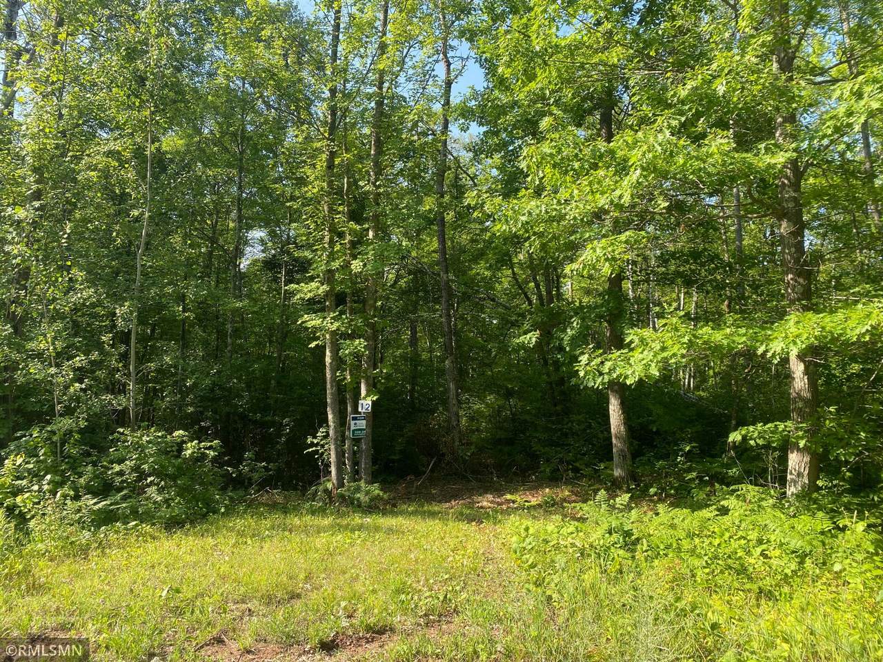 54546 United Country Court - Photo 1