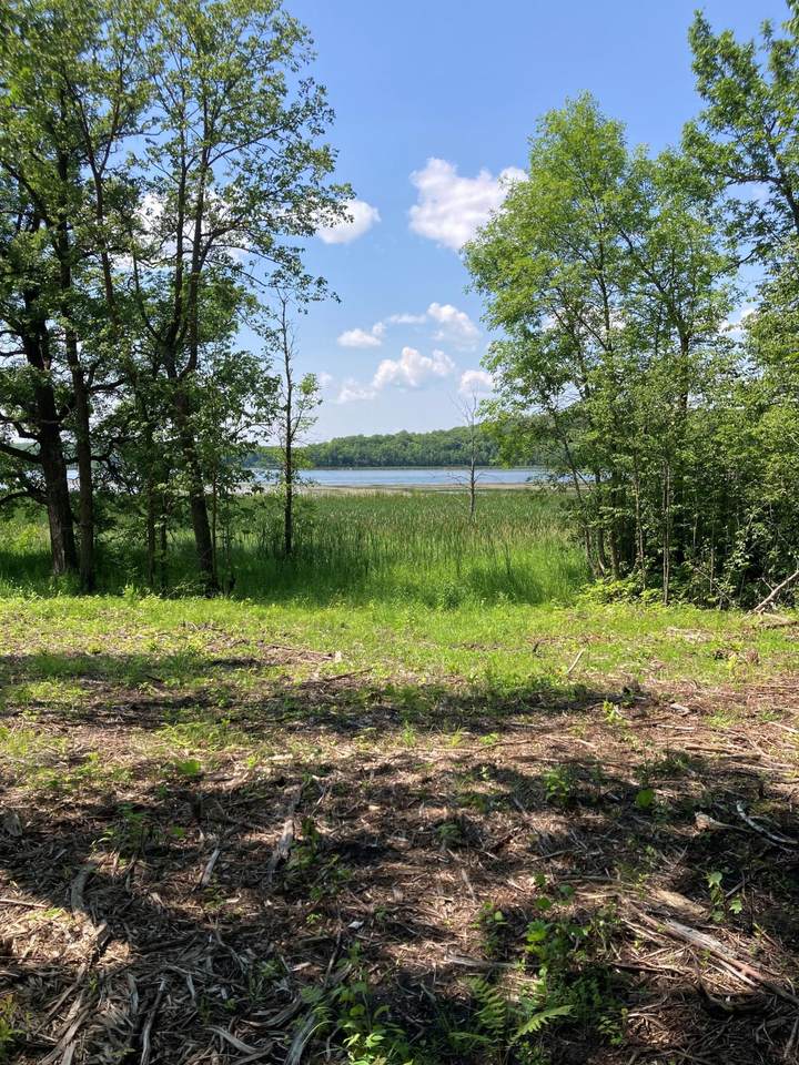 1246 Island Lake Resort Drive - Photo 1