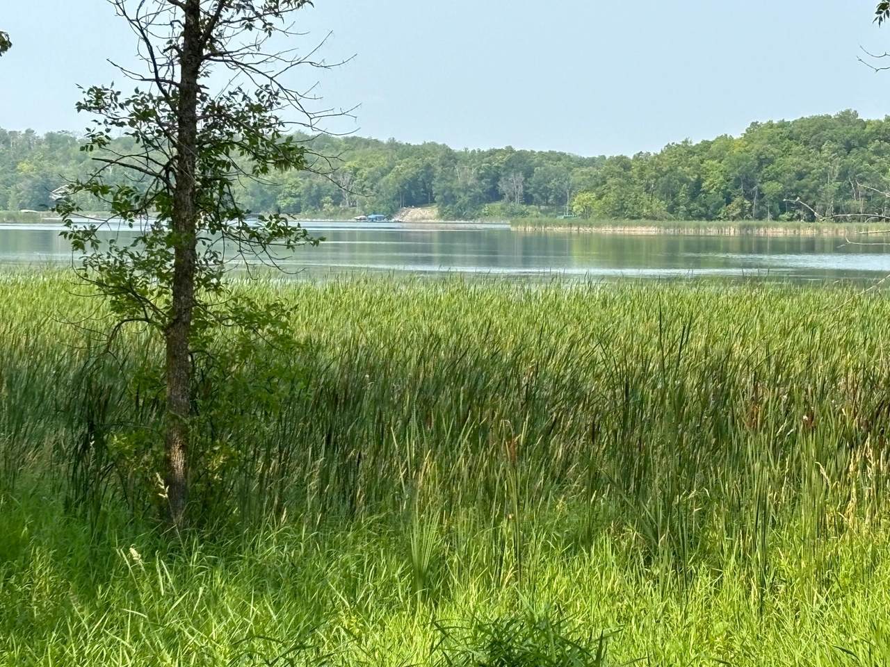 1254 Island Lake Resort Drive - Photo 1