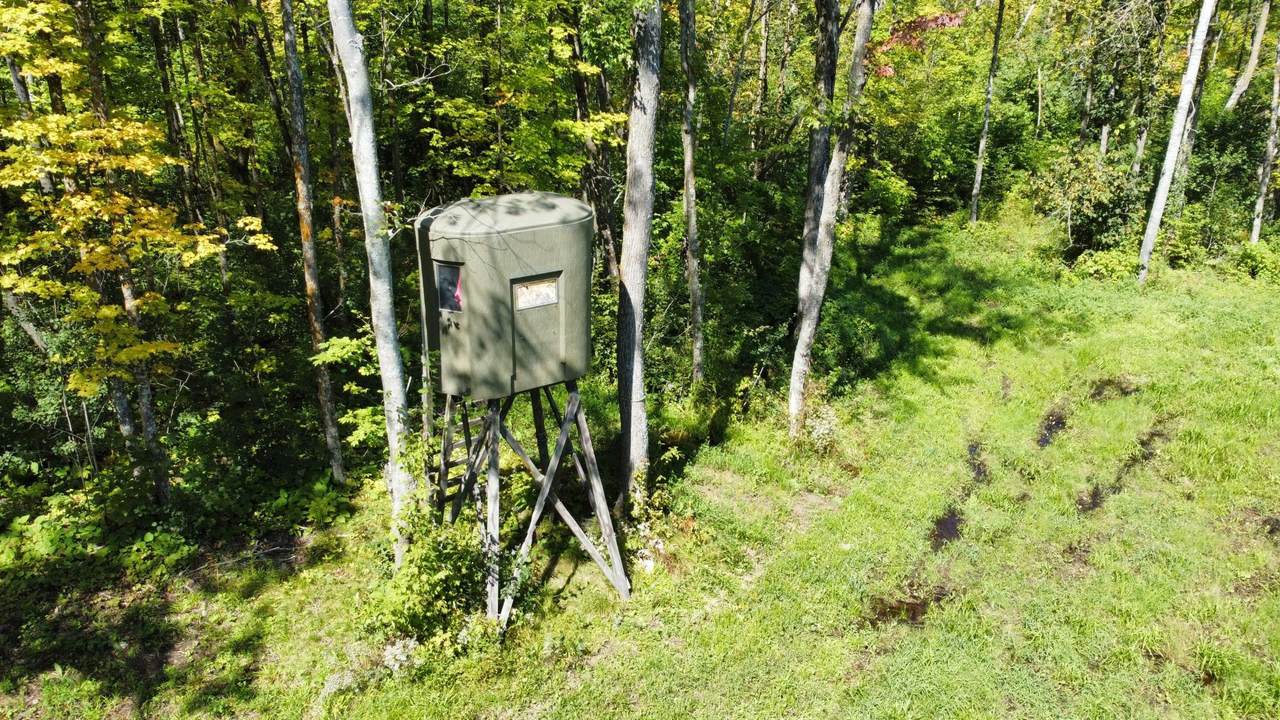 XXX 350th Ave. - Photo 1