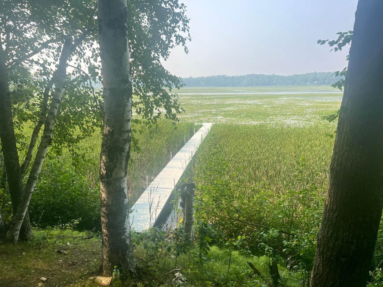 6438 Ponderosa Drive - Photo 1