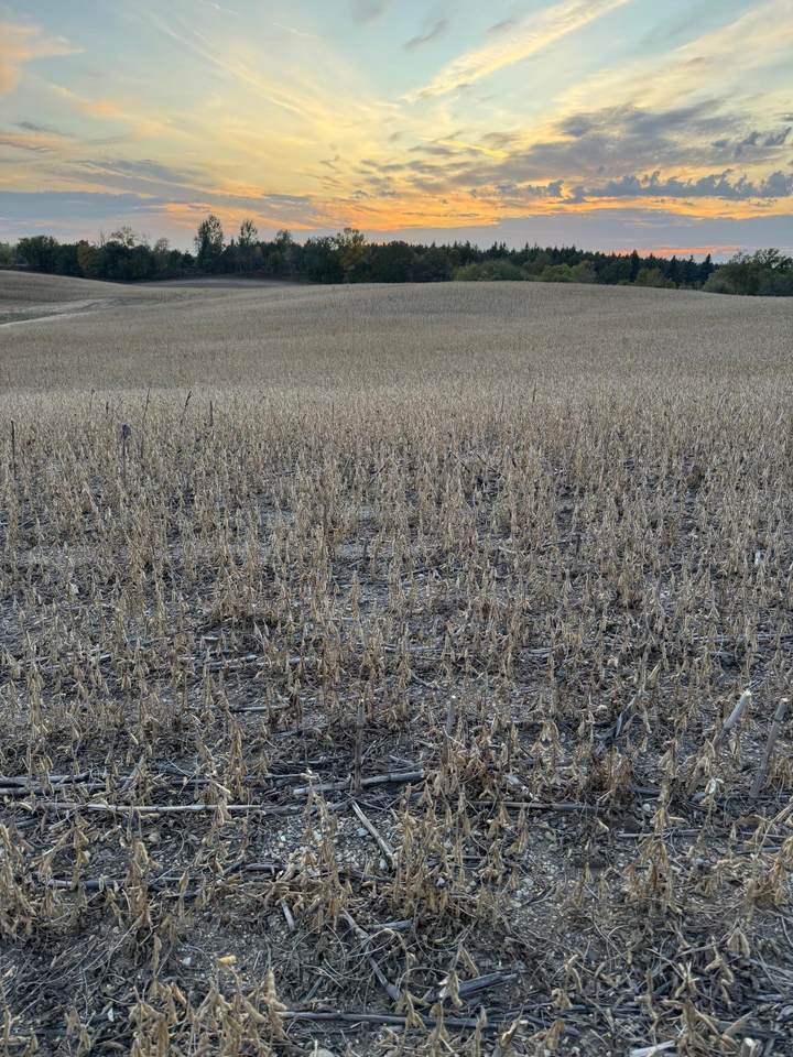 TBD Placid Drive - Photo 1