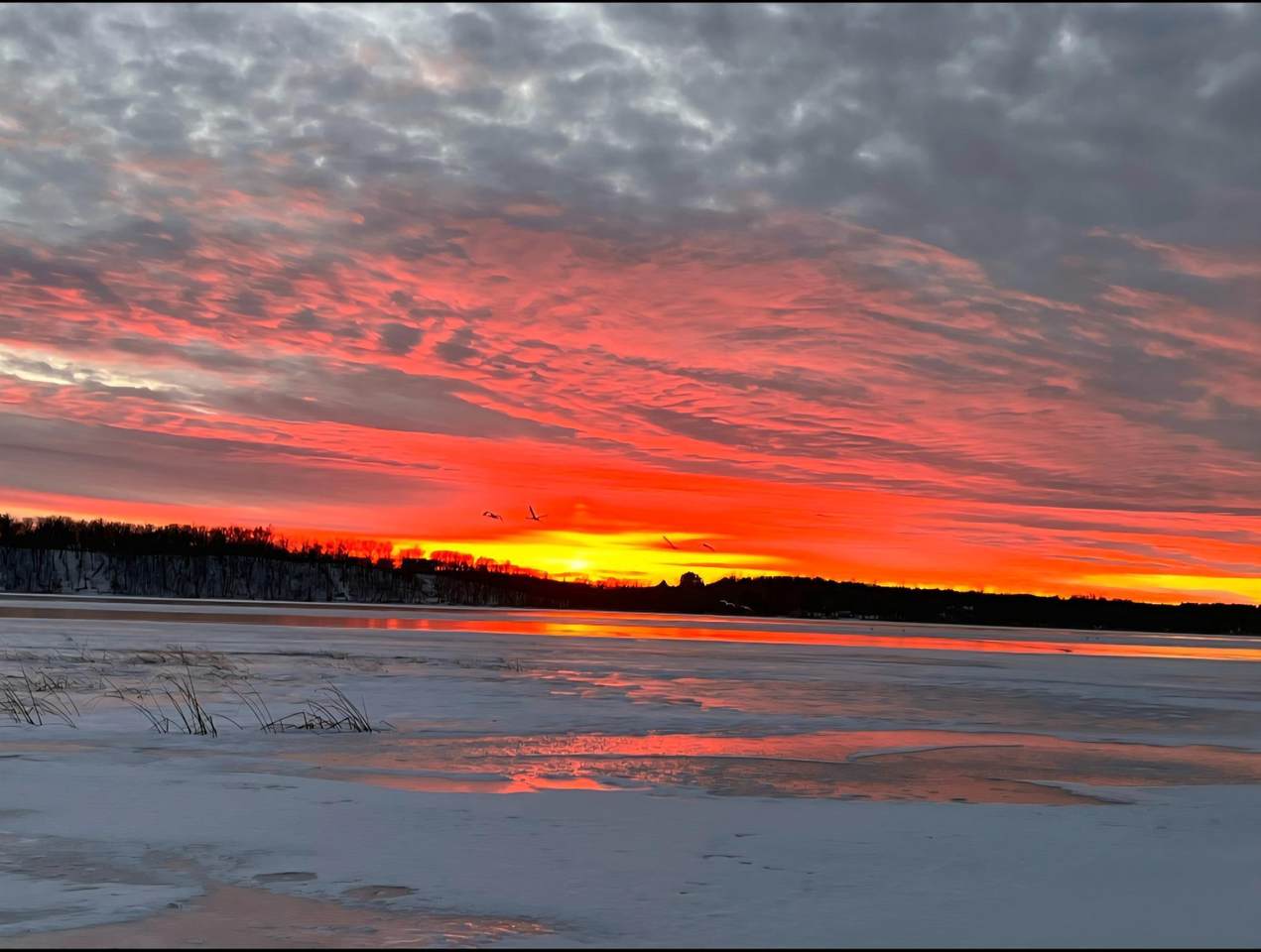 30169 513th Avenue - Photo 1