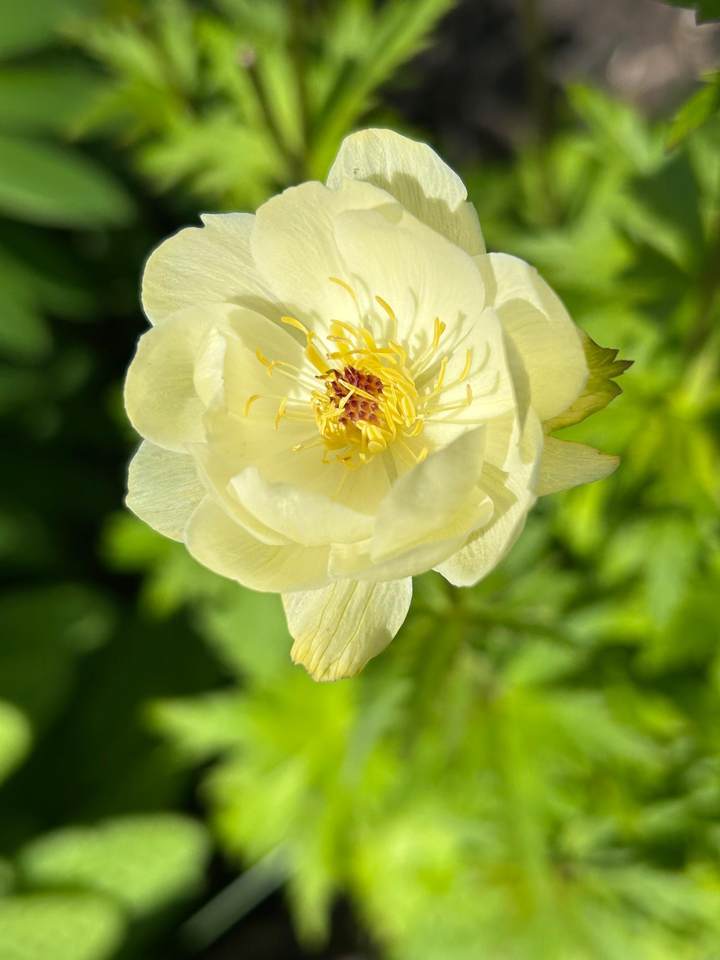 https://bt-photos.global.ssl.fastly.net/northstar/1280_boomver_6_7052466-2.jpg