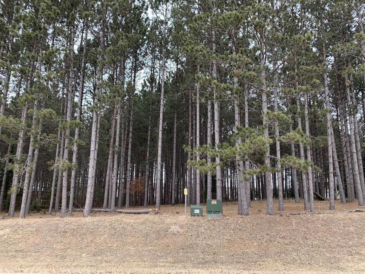 TBD Elk Haven Drive - Photo 1