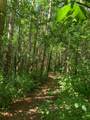 TBD 75th Street - Photo 29