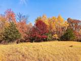 TBD 75th Street - Photo 33