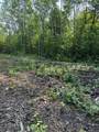1246 Island Lake Resort Drive - Photo 12