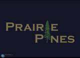 306 Prairie Drive - Photo 3