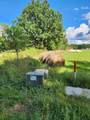 000 Butternut Rd - Photo 6