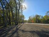 Tract C Blybergs Lane - Photo 47