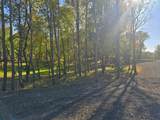 Tract M Blybergs Lane - Photo 41