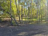 Tract M Blybergs Lane - Photo 43