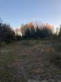 210 Vermilion Drive - Photo 3