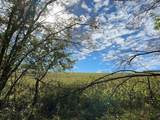 TBD Stoehr Drive - Photo 4