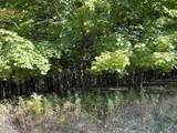 TBD Stoehr Drive - Photo 6