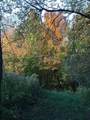 TBD Stoehr Drive - Photo 9