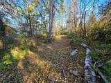 Tract 8 Brush Island - Photo 20