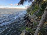 Tract 8 Brush Island - Photo 23