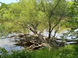36082 437th Lane - Photo 23