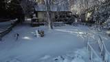 6502 Birch Beach Drive - Photo 45