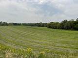 TBD 460th Street - Photo 29