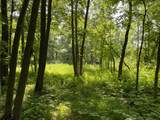 TBD 460th Street - Photo 41