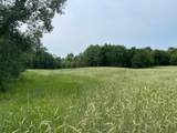 TBD 460th Street - Photo 44