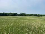 TBD 460th Street - Photo 46
