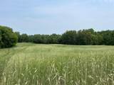 TBD 460th Street - Photo 47