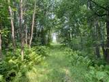 TBD 460th Street - Photo 48