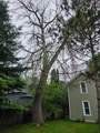 239 1st Street - Photo 31