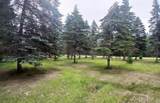 31314 500th Street - Photo 13