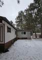 31314 500th Street - Photo 3