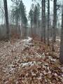 53914 Rutabaga Road - Photo 53