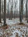 53914 Rutabaga Road - Photo 54