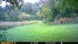37350 County 14 Boulevard - Photo 84